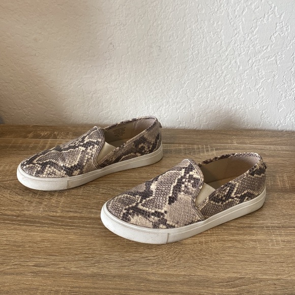 ❌SOLD❌ Steve Madden Safary, faux snakeskin slip on sneaker - size 7 - Picture 4 of 7